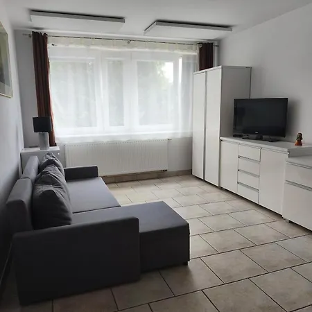 Lesna Przystan ريفال